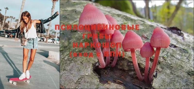 Галлюциногенные грибы Magic Shrooms  купить  сайты  Енисейск 